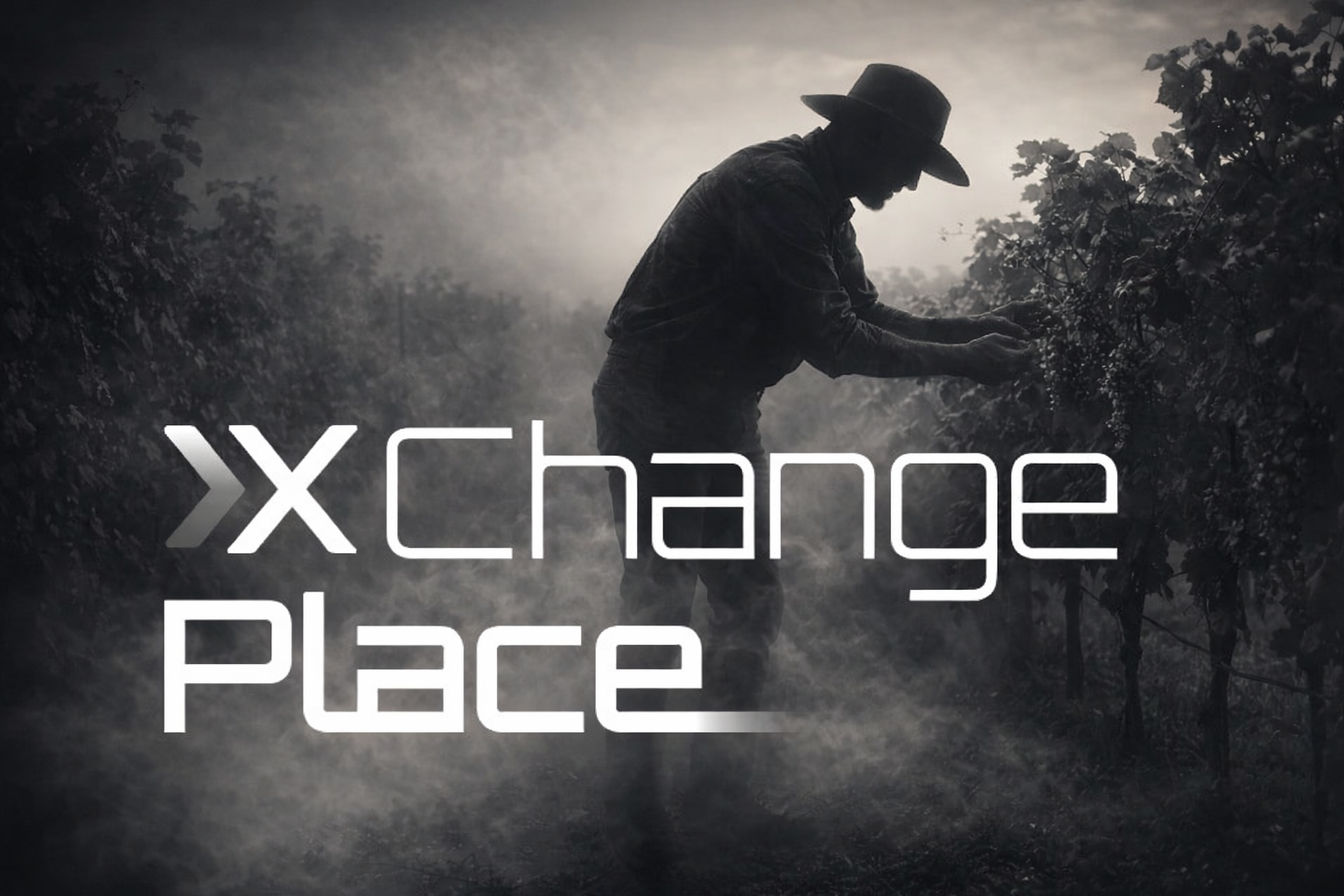 Our Vision for the Future